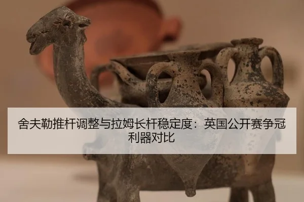 she-fu-lei-tui-gan-tiao-zheng-yu-la-mu-zhang-gan-wen-ding-du-ying-guo-gong-kai-sai-zheng-guan-li-qi-dui-bi-3-141.jpg