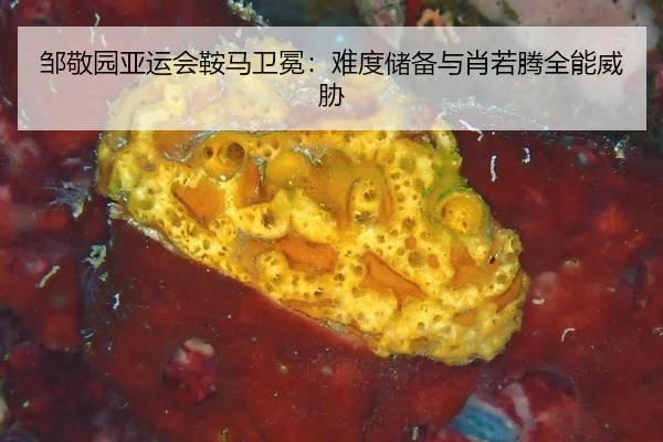 邹敬园亚运会鞍马卫冕：难度储备与肖若腾全能威胁