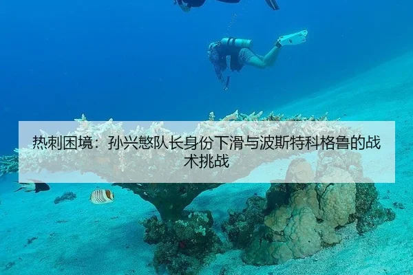 re-ci-kun-jing-sun-xing-min-dui-zhang-shen-fen-xia-hua-yu-bo-si-te-ke-ge-lu-de-zhan-shu-tiao-zhan-3-599.jpg