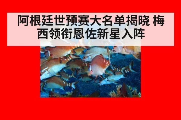 阿根廷世预赛大名单揭晓 梅西领衔恩佐新星入阵