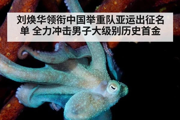 刘焕华领衔中国举重队亚运出征名单 全力冲击男子大级别历史首金